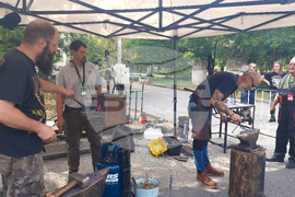 Плевен - ножари - пленер