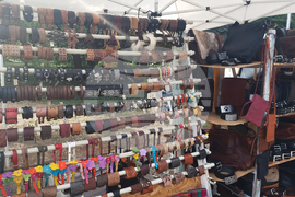 Плевен - ножари - пленер