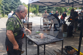 Плевен - ножари - пленер