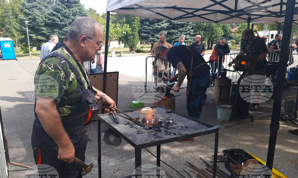 Плевен - ножари - пленер