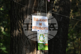 Село Малък Поровец - Младежки Еко – фестивал „Зелен дом – зелена планета“