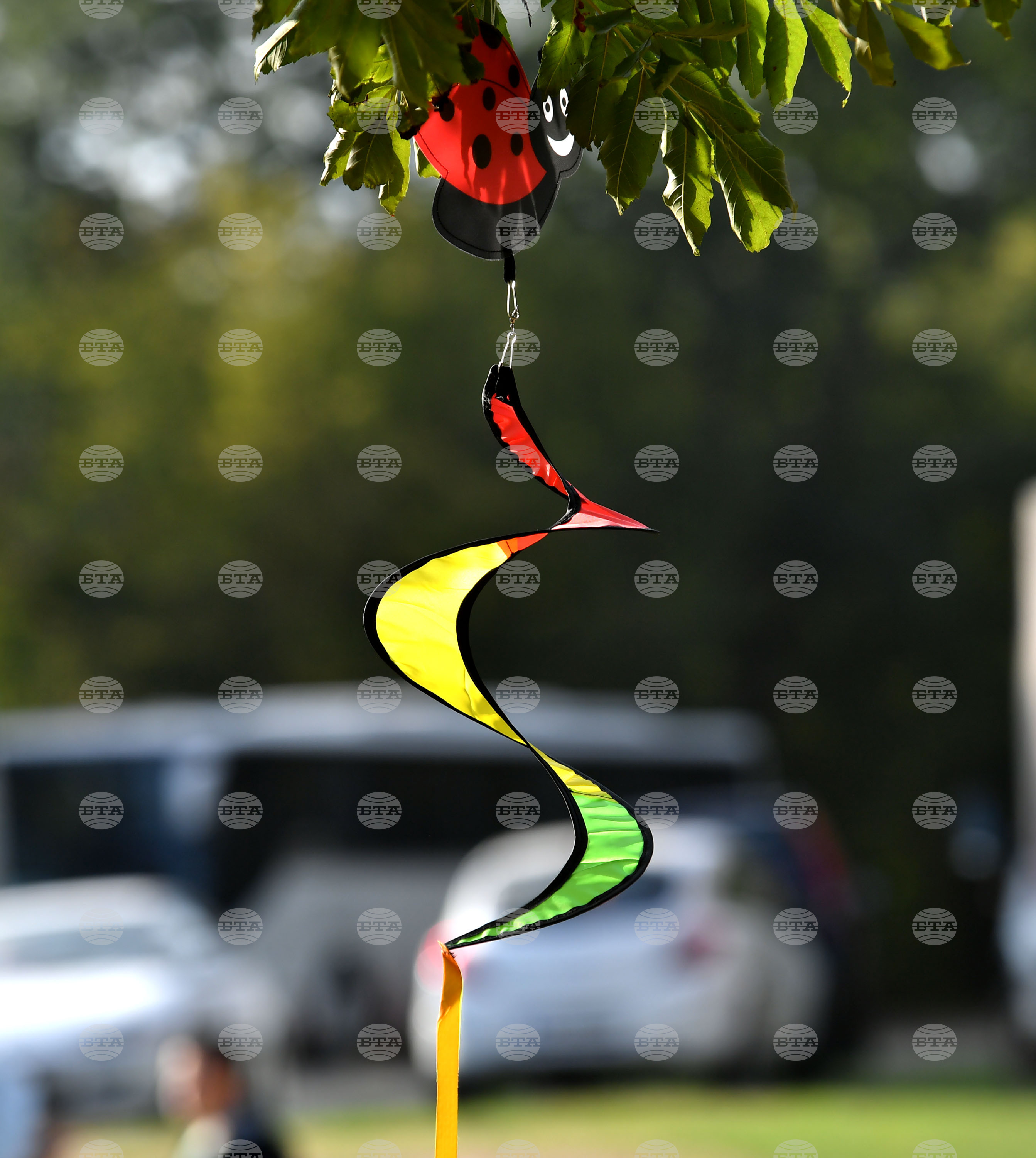 Село Малък Поровец - Младежки Еко – фестивал „Зелен дом – зелена планета“