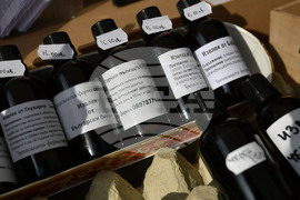 Село Малък Поровец - Младежки Еко – фестивал „Зелен дом – зелена планета“