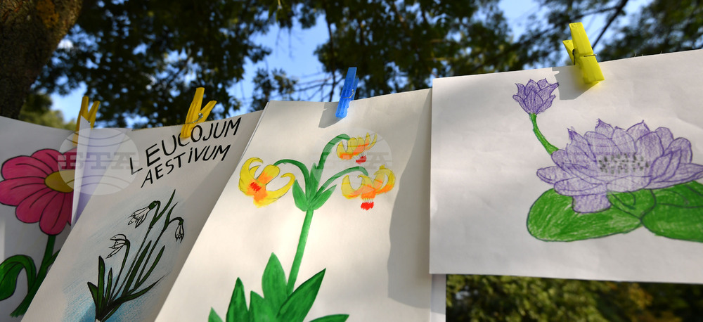 Село Малък Поровец - Младежки Еко – фестивал „Зелен дом – зелена планета“