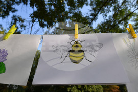 Село Малък Поровец - Младежки Еко – фестивал „Зелен дом – зелена планета“