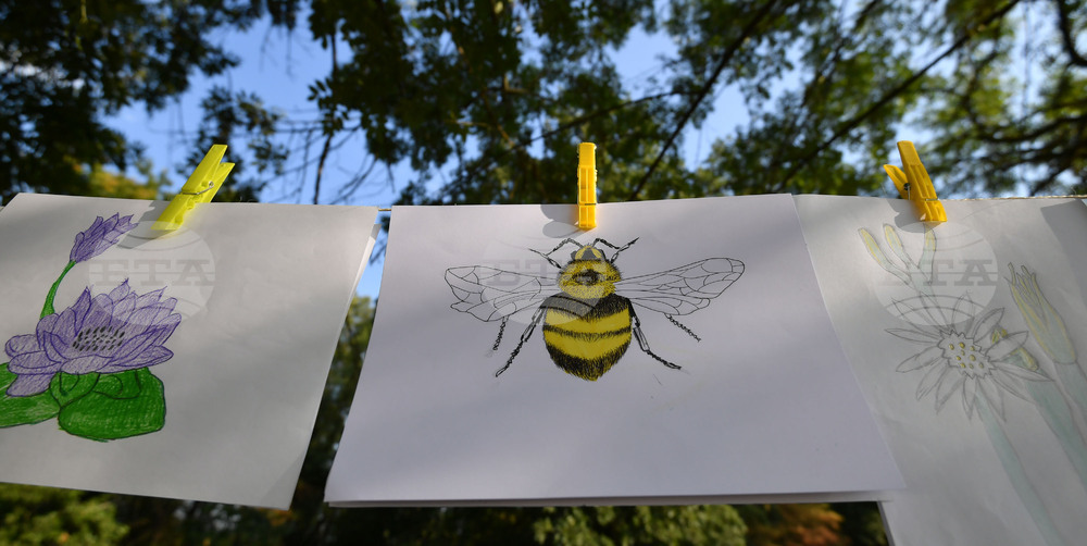 Село Малък Поровец - Младежки Еко – фестивал „Зелен дом – зелена планета“