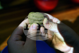 Село Малък Поровец - Младежки Еко – фестивал „Зелен дом – зелена планета“