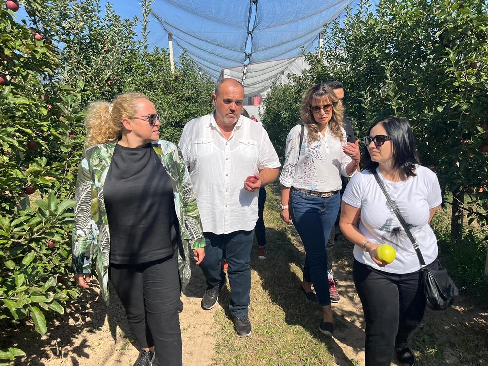 Заместник-министър Георгиева: С прилагането на Стратегическия план се стремим да увеличим биологичното производство