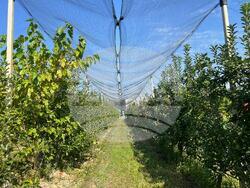 Снимка: Министерство на земеделието и храните 