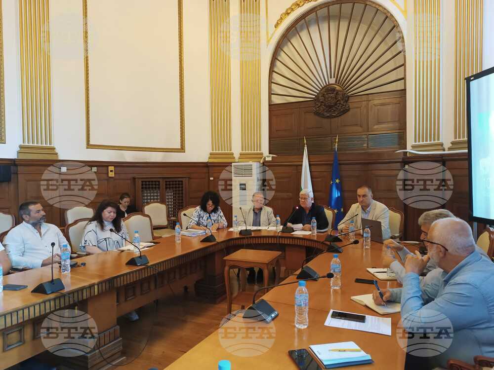 Agriculture Minister, Branch Bodies Mull Action to Boost Bulgarian Milk, Meat Production