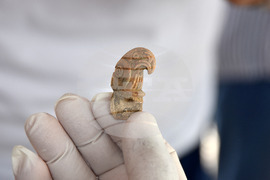 Провадия - разкопки - откритие