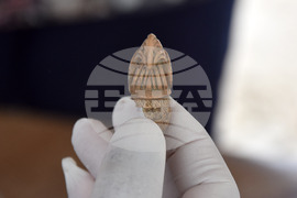 Провадия - разкопки - откритие