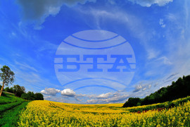 Село Ясеновец - рапица - любопитно