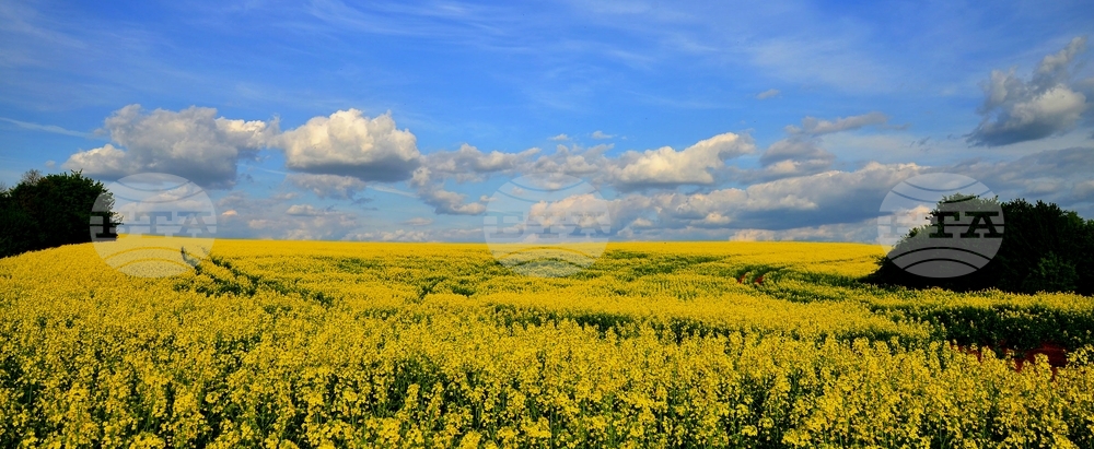 Село Ясеновец - рапица - любопитно
