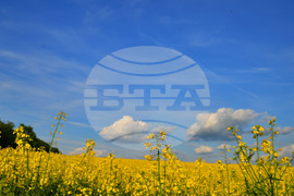 Село Ясеновец - рапица - любопитно
