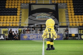 Пловдив - Футбол - Ботев (Пловдив) - Берое (Стара Загора)