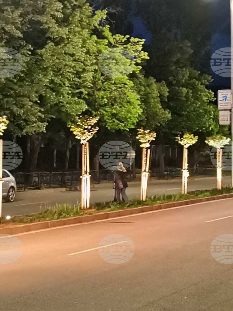 Бдителен жител засне жени да крадат луковични растения, посадени около японските вишни по ул. „Иван Михайлов“. Община Благоевград с апел: Не посягайте на красотата на града! Поискайте и ще Ви се даде!