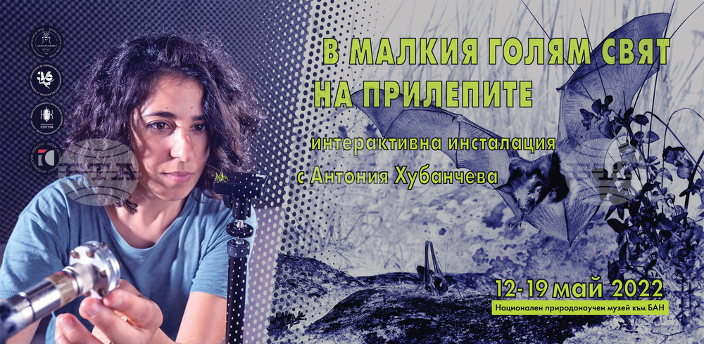 Националният природонаучен музей при БАН представя интерактивната инсталация "В малкия голям свят на прилепите"