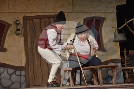 Видин - театър - "Женско царство"