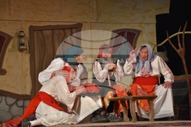 Видин - театър - "Женско царство"