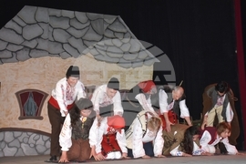 Видин - театър - "Женско царство"