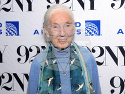 Jane Goodall In Conversation at 92NY