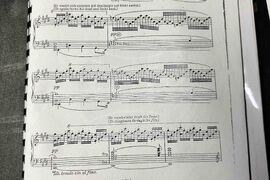 Германия - Софийска опера - „Валкюра”