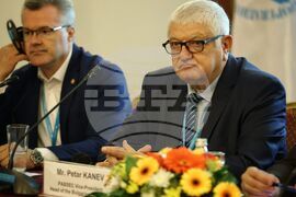 Бургас - Комитет по културни, образователни и социални въпроси на ПАЧИС - Петър Кънев