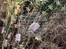 Снимка: Апелативна прокуратура – Пловдив