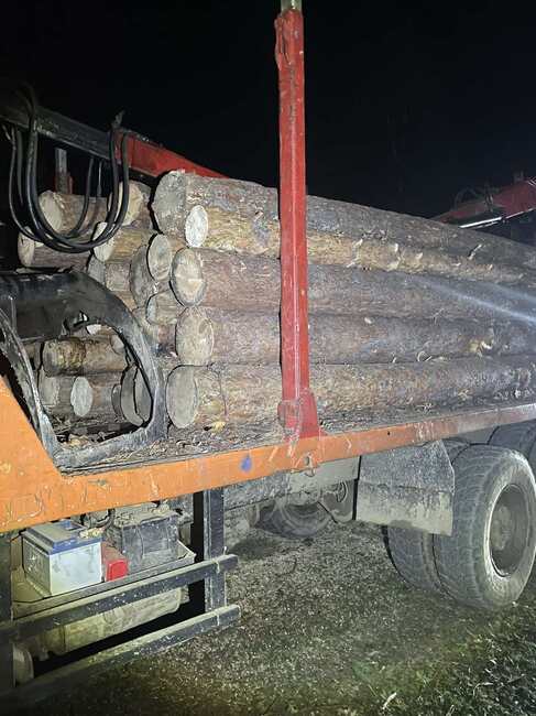 Изпълнителна агенция по горите: Горски инспектори и полицаи от Благоевград задържаха камион с незаконна дървесина през вчерашния ден