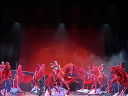Germany - Sofia Opera and Ballet - Die Walküre