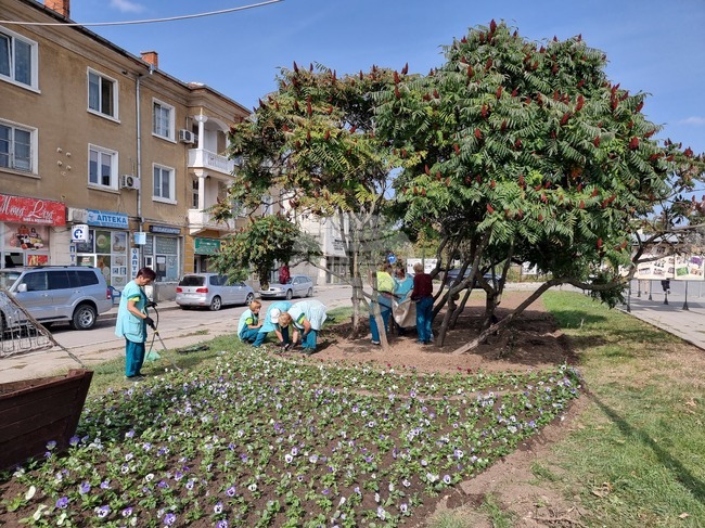Разград - градинки - есенно зацветяване