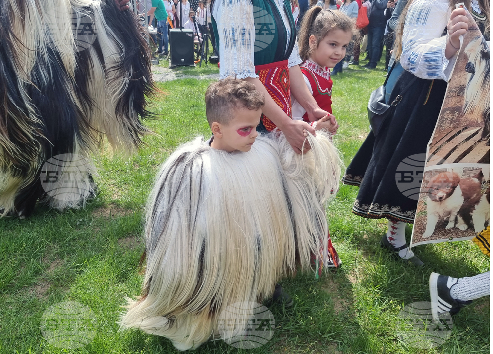 Велико Търново - Национален събор на овцевъдите