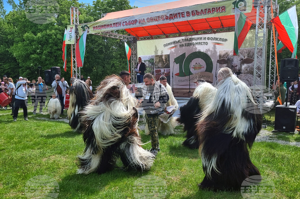 Three-Day National Sheep Breeders' Fair Opens near Veliko Tarnovo