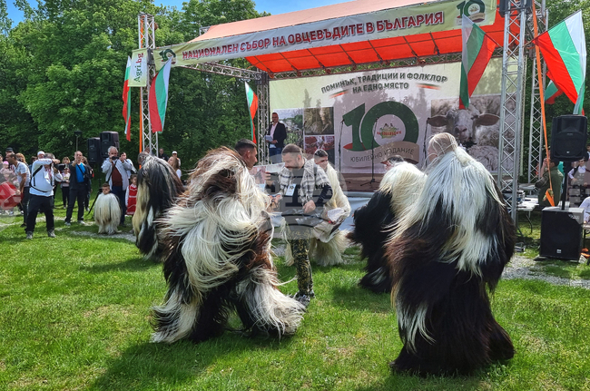 Велико Търново - Национален събор на овцевъдите