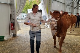 Agriculture Minister: Bulgarian Livestock Selection Should Be Developed So It Leads to Market Success