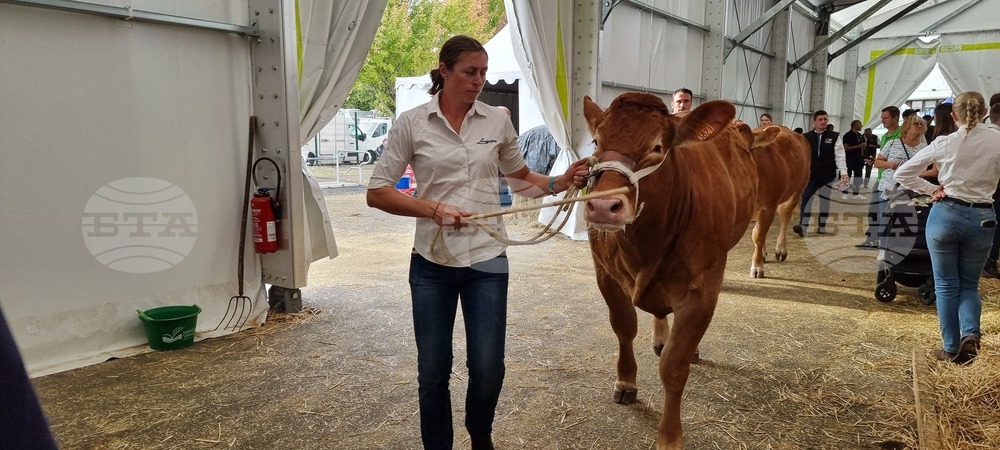 Agriculture Minister: Bulgarian Livestock Selection Should Be Developed So It Leads to Market Success