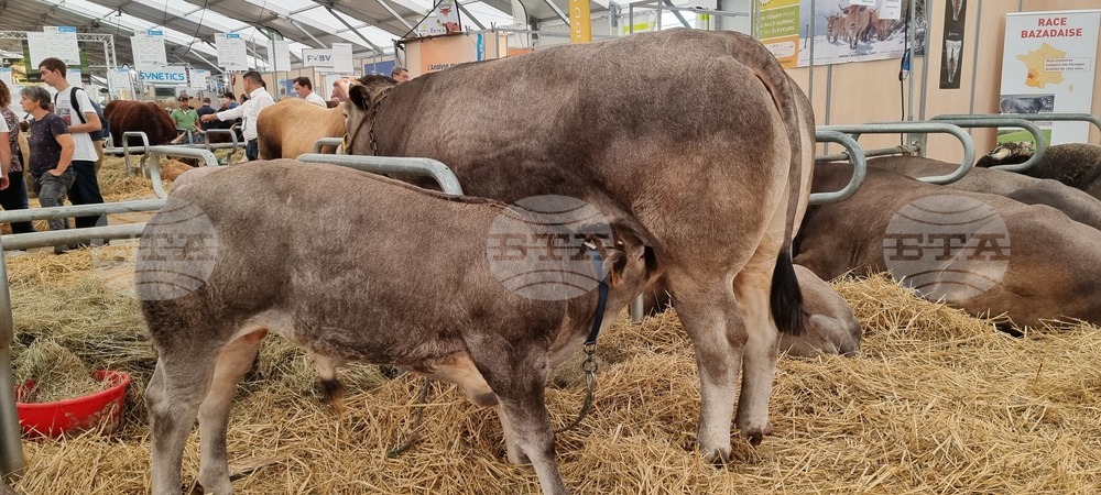 Agriculture Minister: Bulgarian Livestock Selection Should Be Developed So It Leads to Market Success