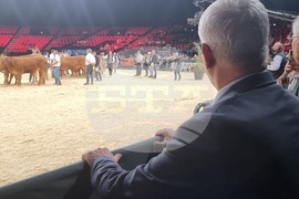 Agriculture Minister: Bulgarian Livestock Selection Should Be Developed So It Leads to Market Success