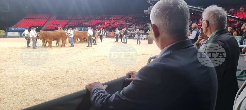 Agriculture Minister: Bulgarian Livestock Selection Should Be Developed So It Leads to Market Success