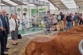 Agriculture Minister: Bulgarian Livestock Selection Should Be Developed So It Leads to Market Success