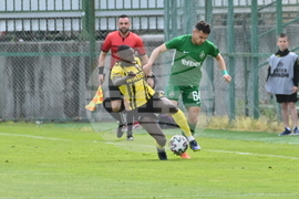 Пловдив - футбол - Ботев Пд - Лудогорец