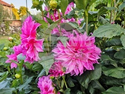 Снимка: Община Ловеч