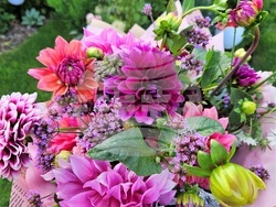 Снимка: Община Ловеч