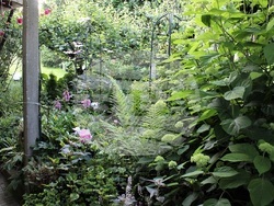 Снимка: Община Ловеч