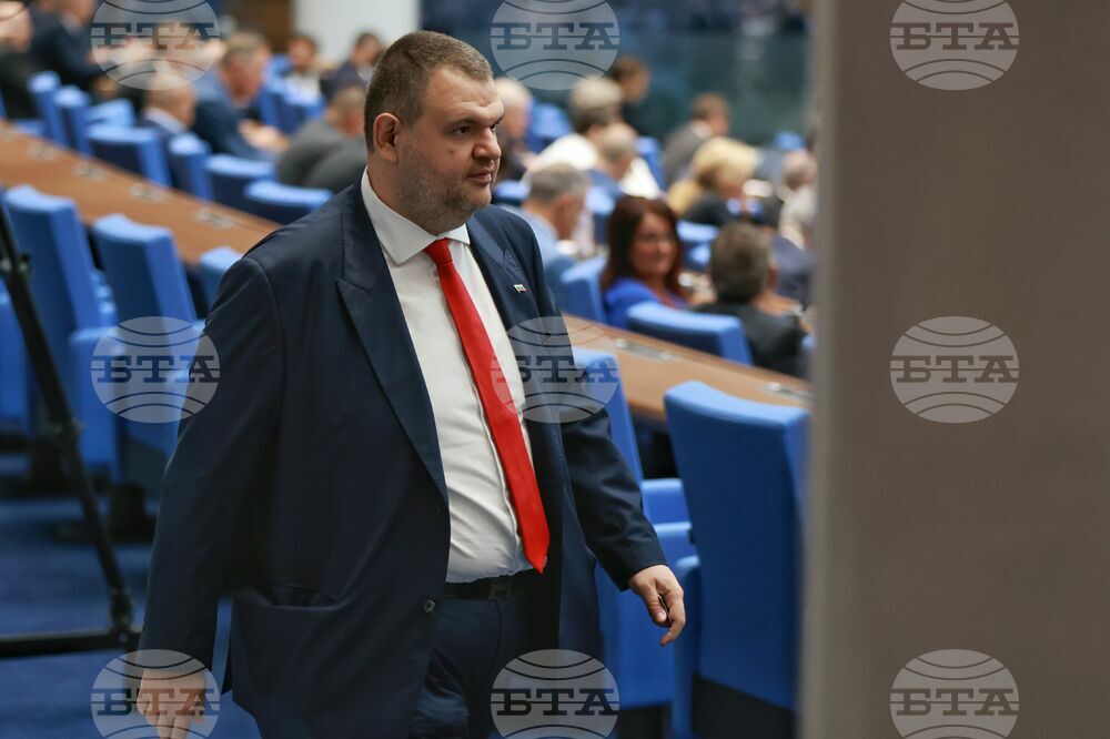 Парламент - заседание - Делян Пеевски