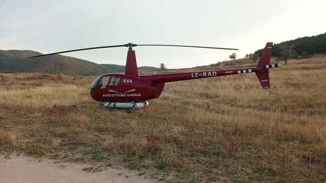 ИАГ: Повече от 8500 дка борови гори в обхвата на ЛЗС-Пловдив са третирани срещу борова процесионка