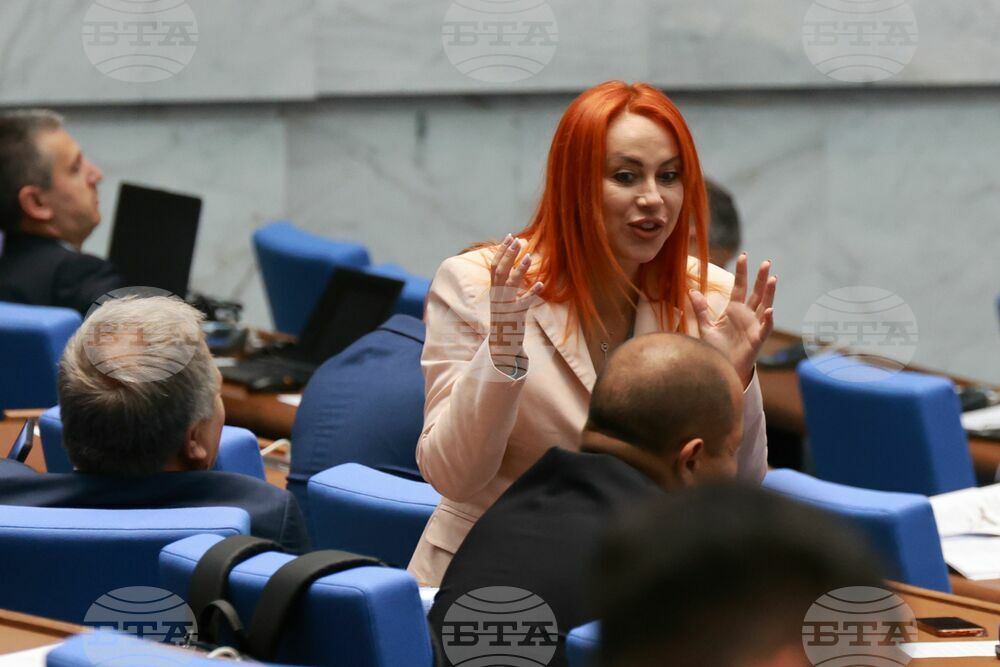 Парламент - заседание - Христина Георгиева