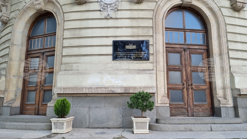 Превенцията е ключов елемент в борбата с намаляване на хранителните отпадъци, посочи Министерството на земеделието и храните 