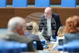 Парламент - заседание - Владислав Панев